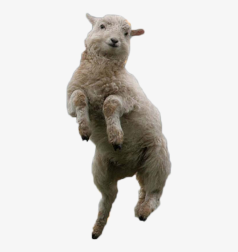 Quick Cutout, transparent png #6673582