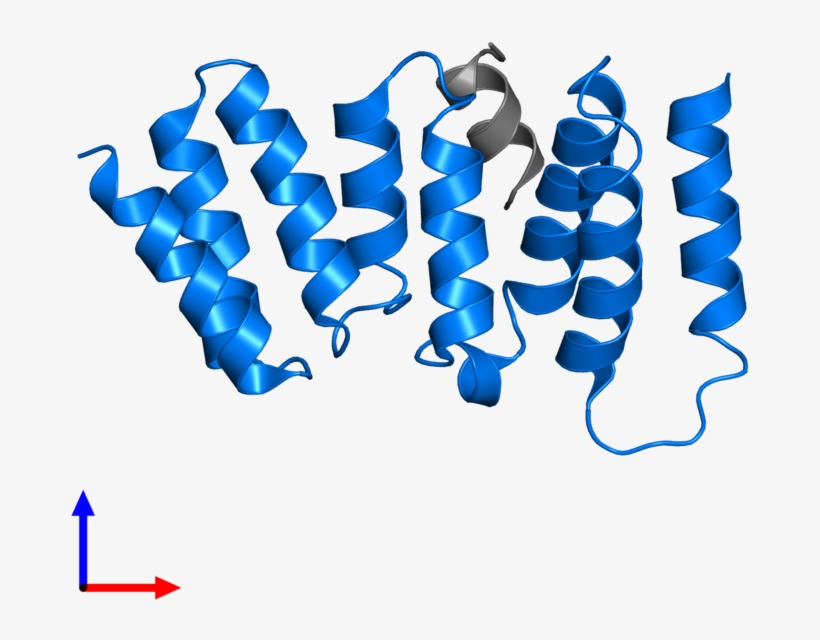 <div Class='caption-body'>pdb Entry 4a1g Contains 1, transparent png #6675394