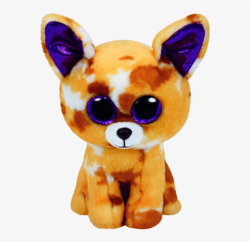 Pablo The Tan Chihuahua, transparent png #6676238