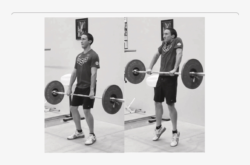 Sequence Of The M, transparent png #6677008