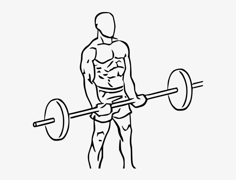 Close Grip Standing Bicep Curls With Barbell, transparent png #6677845