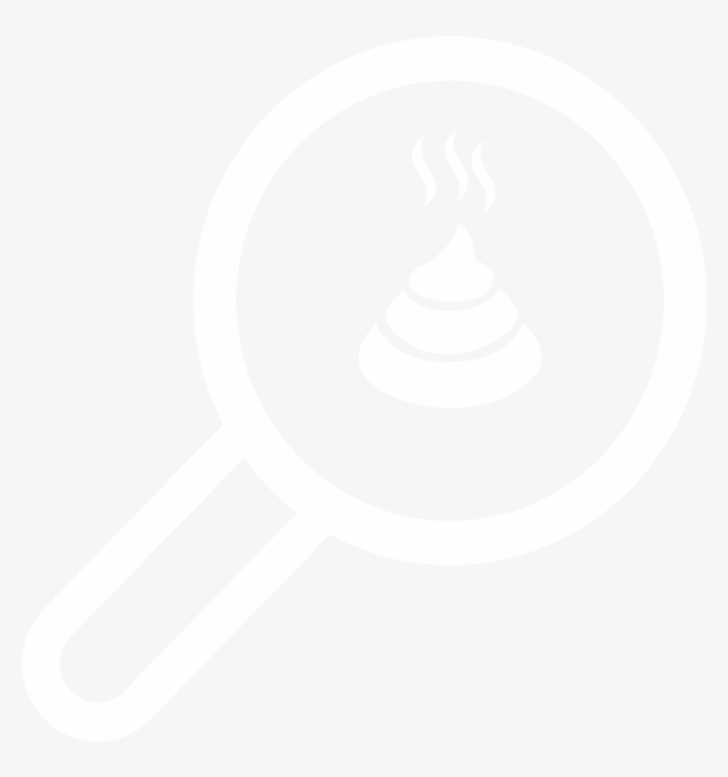 Grizzly Scat App, transparent png #6678688