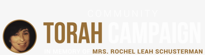 Torah Scroll Png, transparent png #6680140