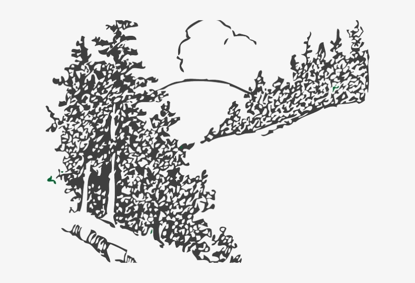 Pine Tree Clipart Scenery, transparent png #6681691