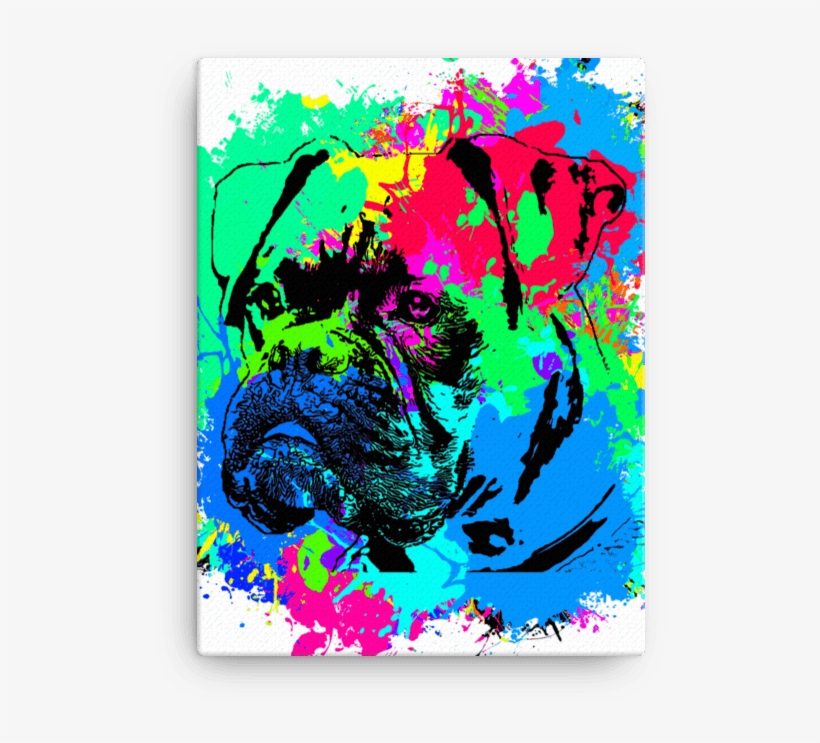 Boxer Colorful Splash Paint Canvas, transparent png #6681952