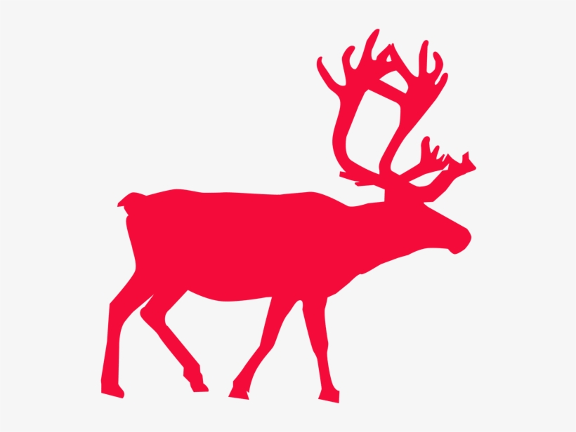 Meet And Feed The Reindeers, transparent png #6682012