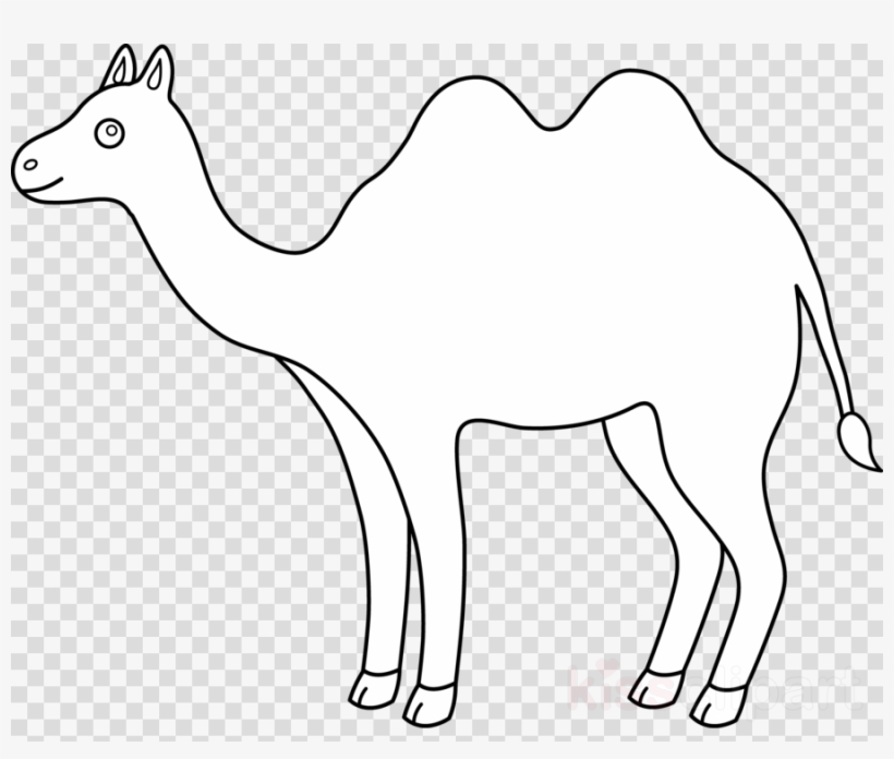 Lineart Png, transparent png #6682206