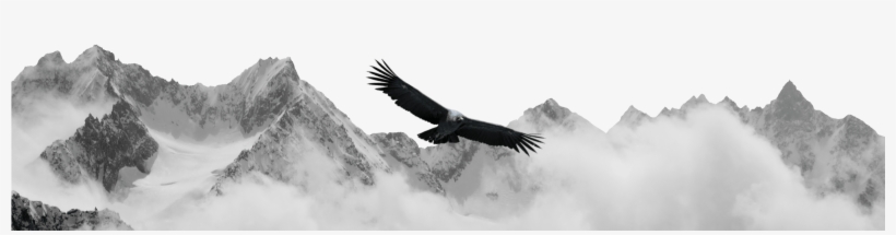 Condor Wealth Solution, transparent png #6682342