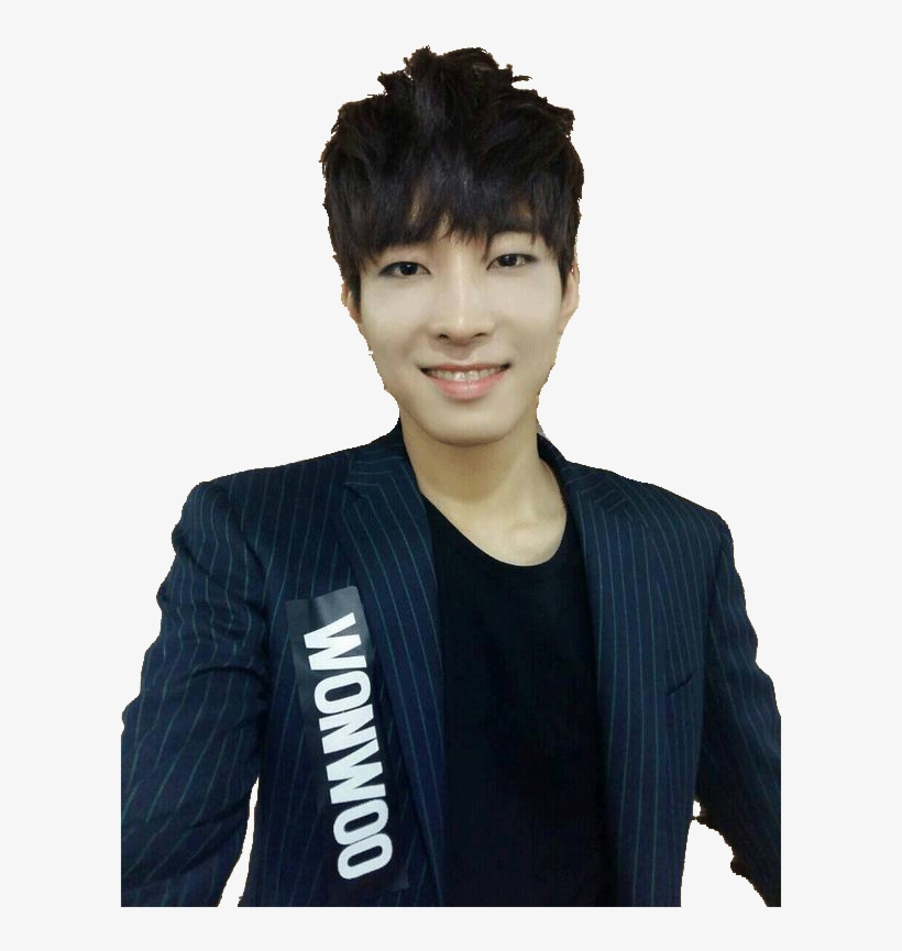Wonwoo Seventeen Png, transparent png #6682347