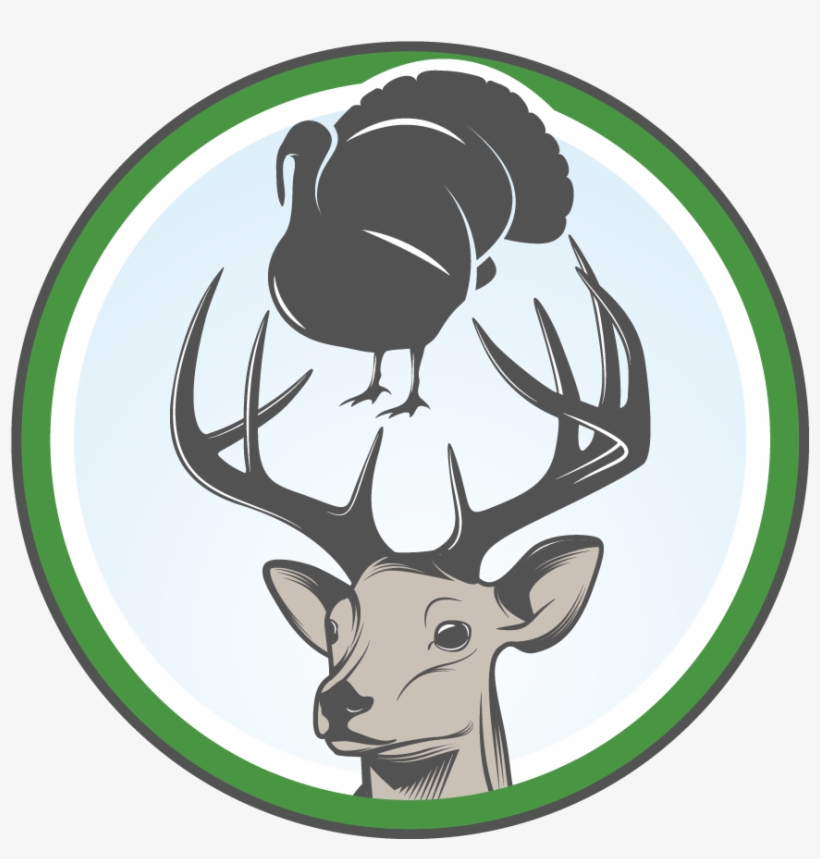 1 Year Combo Hunting / Fishing License, Big Game License,, transparent png #6682683