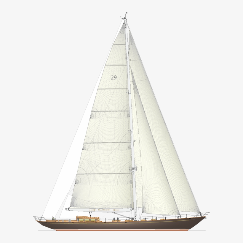 Sea Dragon, transparent png #6688872