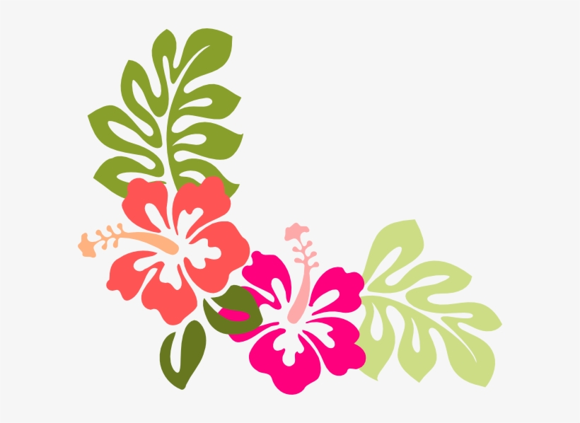 Vector Hibiscus, transparent png #6688921