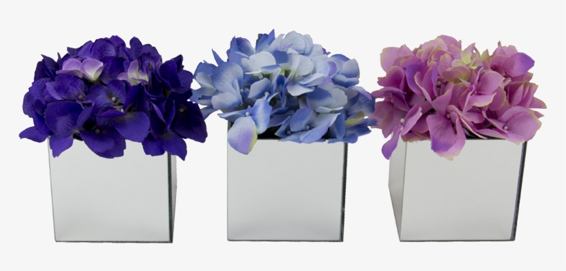 Blog Achados De Decoração, transparent png #6689721