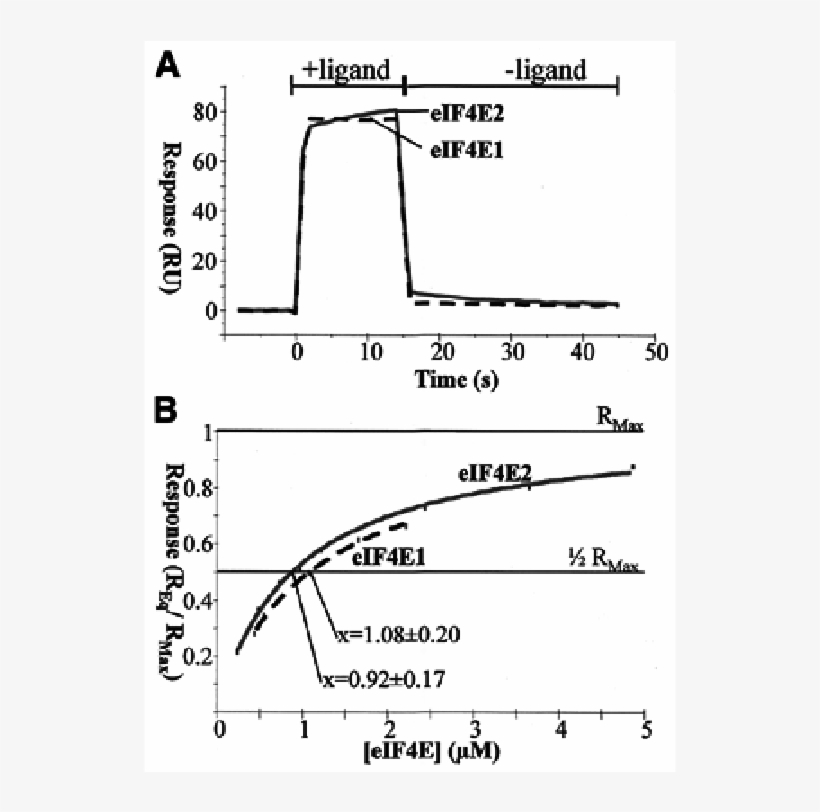 Interaction Between S, transparent png #6689874