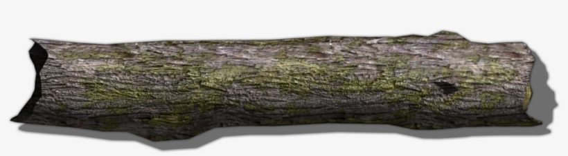 Qegw1 Log 1, transparent png #6690308