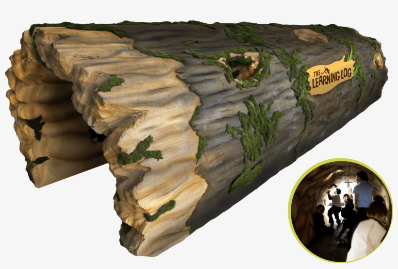 Imagine A Giant Fallen Tree, Hollowed Out And, transparent png #6690422