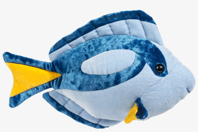 Douglas Blue Tang Fish, transparent png #6691887