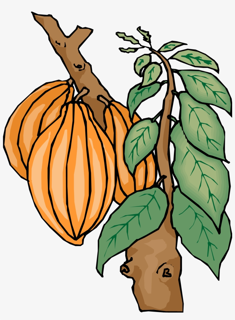 Cocoa, transparent png #6694456