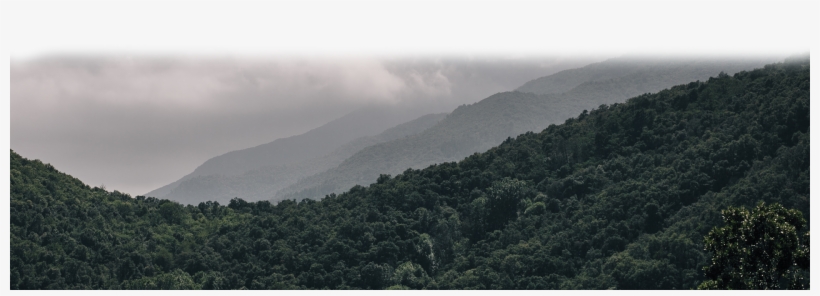 Alex Carro Skincare Is, transparent png #6696178