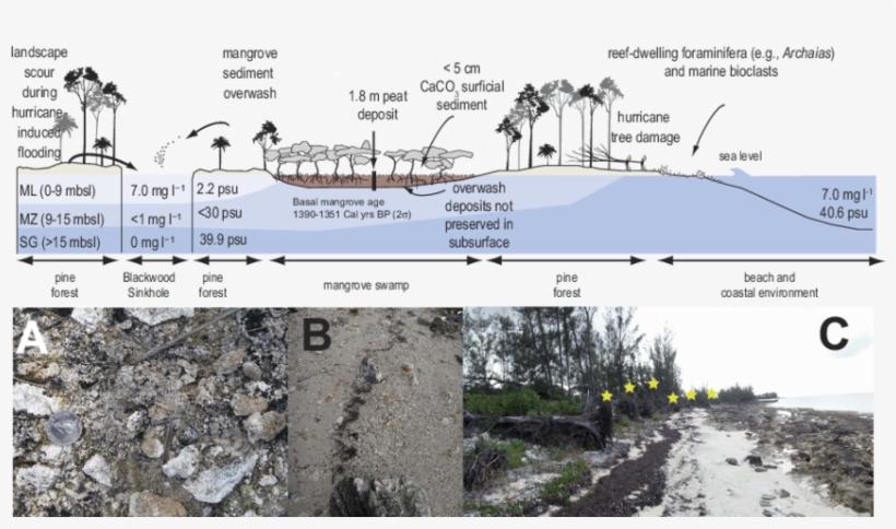 A Conceptual Model Of The Landscape Surrounding Blackwood, transparent png #6698381