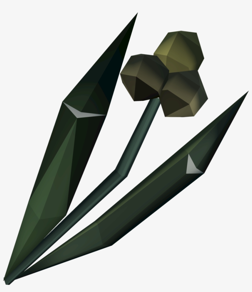 Ectograss Detail, transparent png #6698758