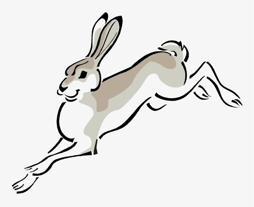 Jack Rabbit Clip Art Free, transparent png #6699598