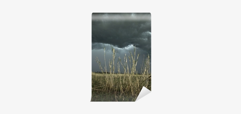 Africa Landscape, Dark Cloud, Serengeti National Park, - Diana L. Eck, transparent png #670969