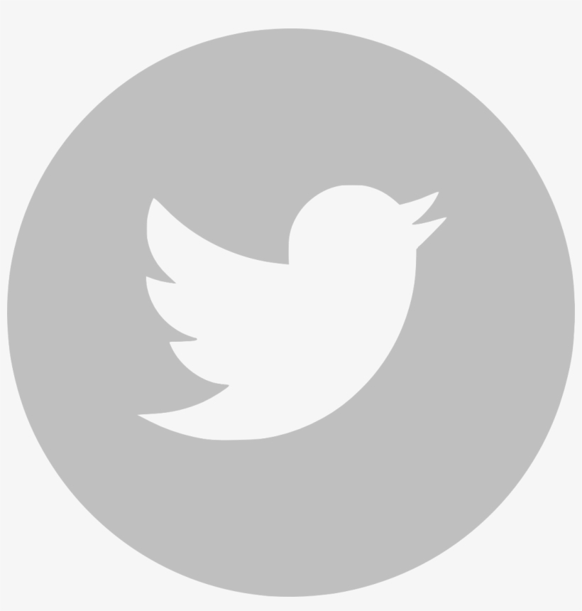 Twitter Logo White Vector - Facebook Logo Grey Round, transparent png #671021