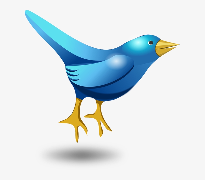 Twitter, Tweet, Bird, Funny, Cute, Blue, Messaging - Bird Cartoon Vector Png, transparent png #671232