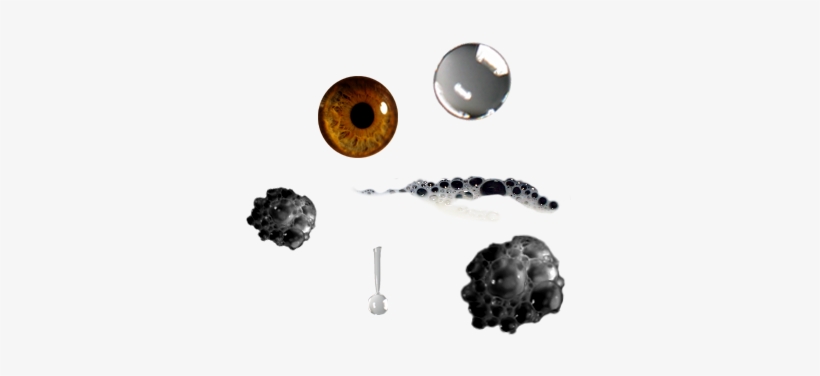 Open Milk - Earrings, transparent png #672370