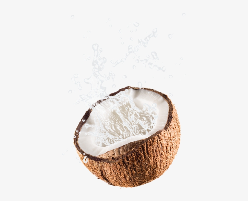 Jax Coco Is 100% Pure Coconut Water, With Absolutely - Cut Coconut Png, transparent png #672677