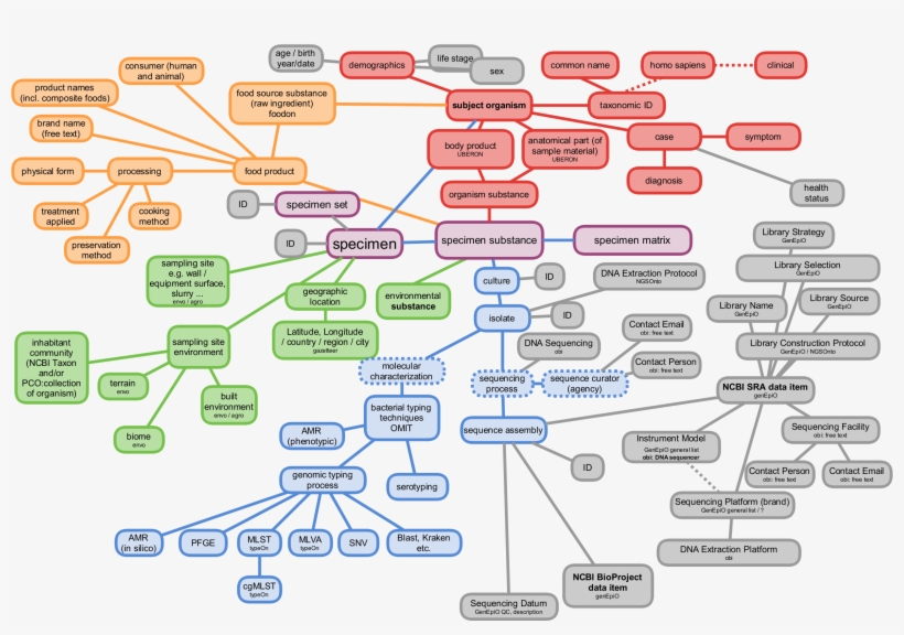 Test Png, transparent png #672694