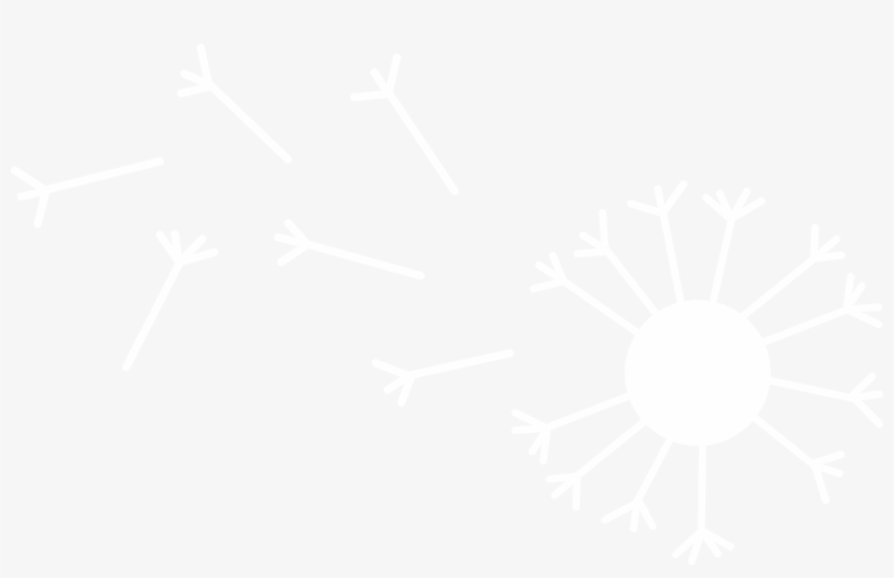 Tiny Wonders - White Photo For Instagram, transparent png #673347