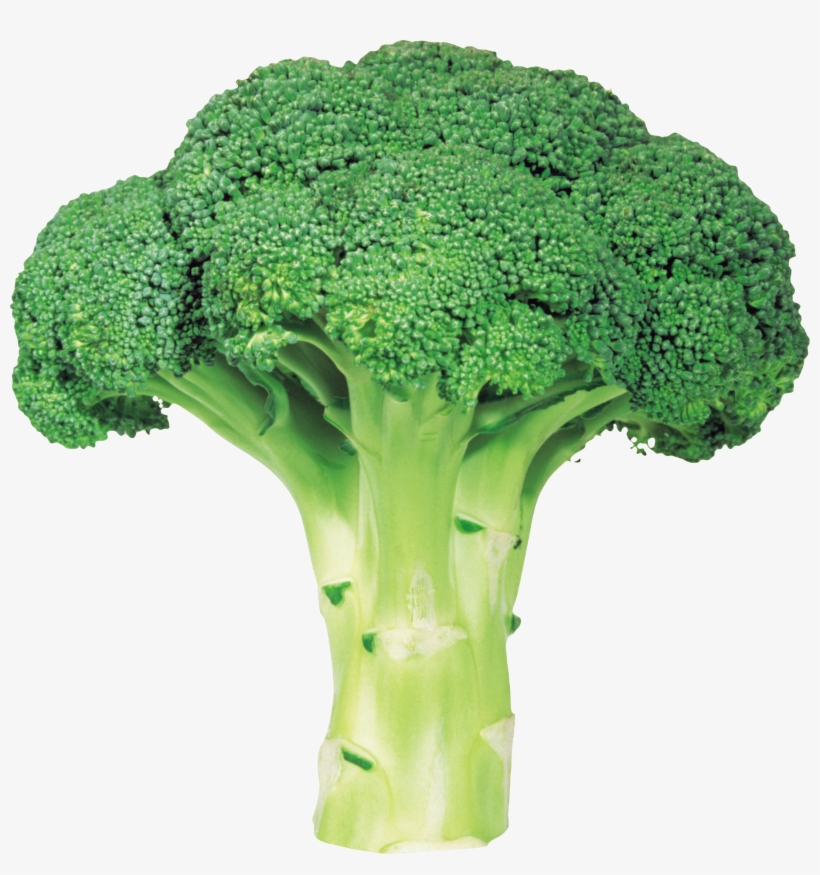 Perfect Person In Just Three Days, transparent png #673483