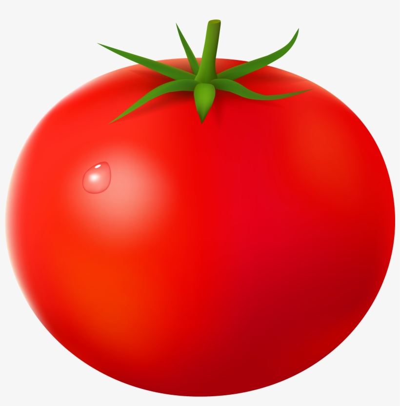 Tomato - Tomato Clipart Png, transparent png #673529