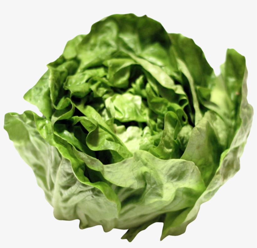 Free Png Lettuce Png Images Transparent - Lettuce Png, transparent png #673608