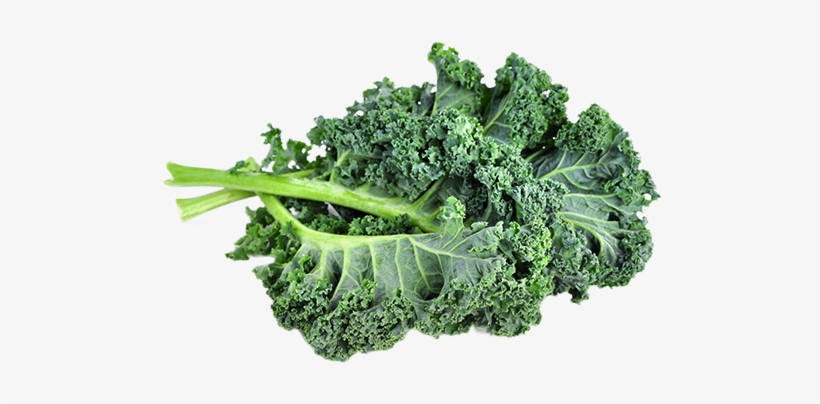 Kale-fieldpack, transparent png #674334