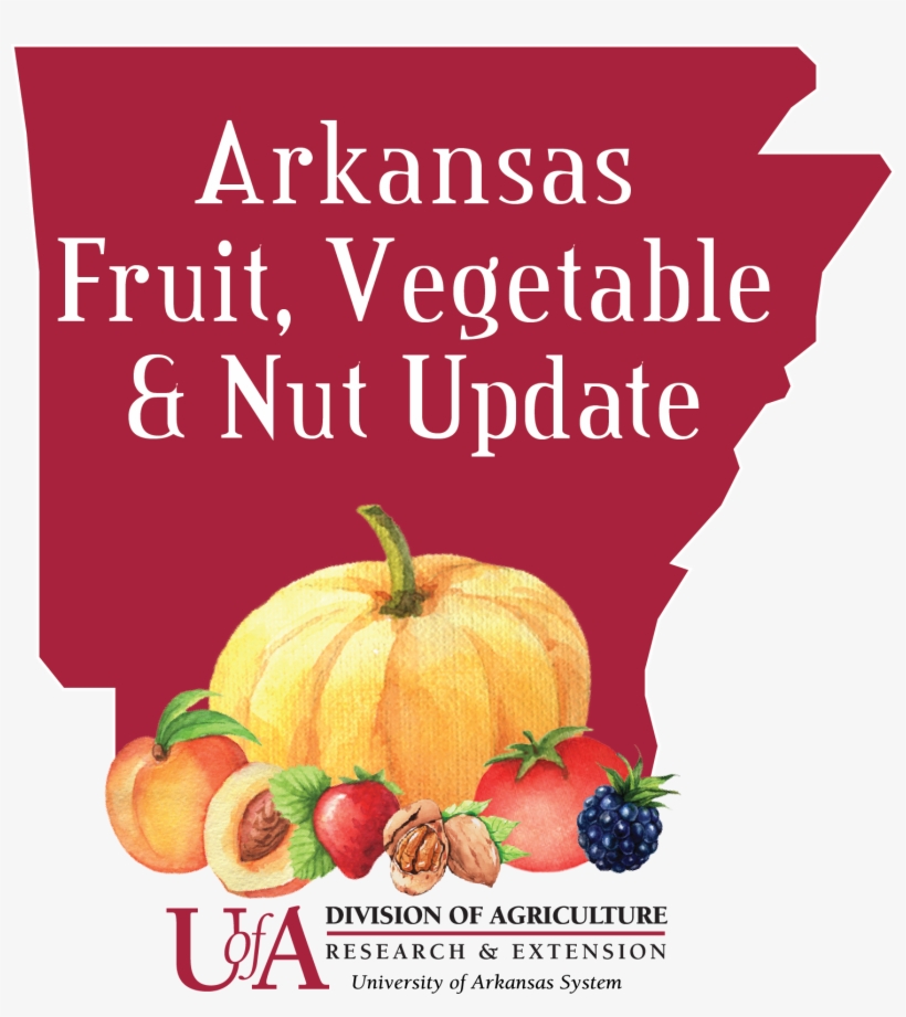 Fruit, transparent png #674443