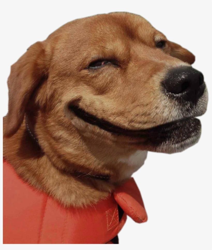 Smiling Dog Weed, transparent png #674713