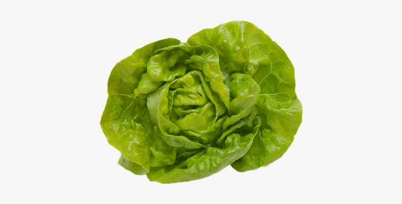 Butter-fieldpack, transparent png #675033