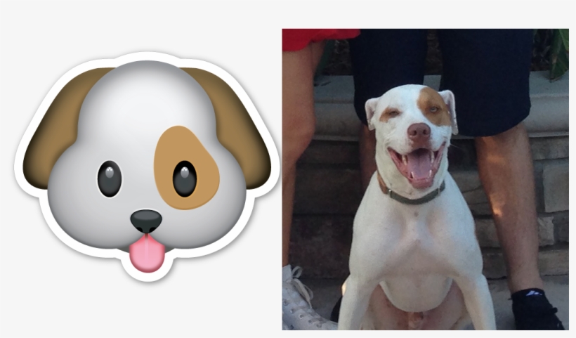 Dog Emoji - Carinha De Cachorro Desenho, transparent png #675227