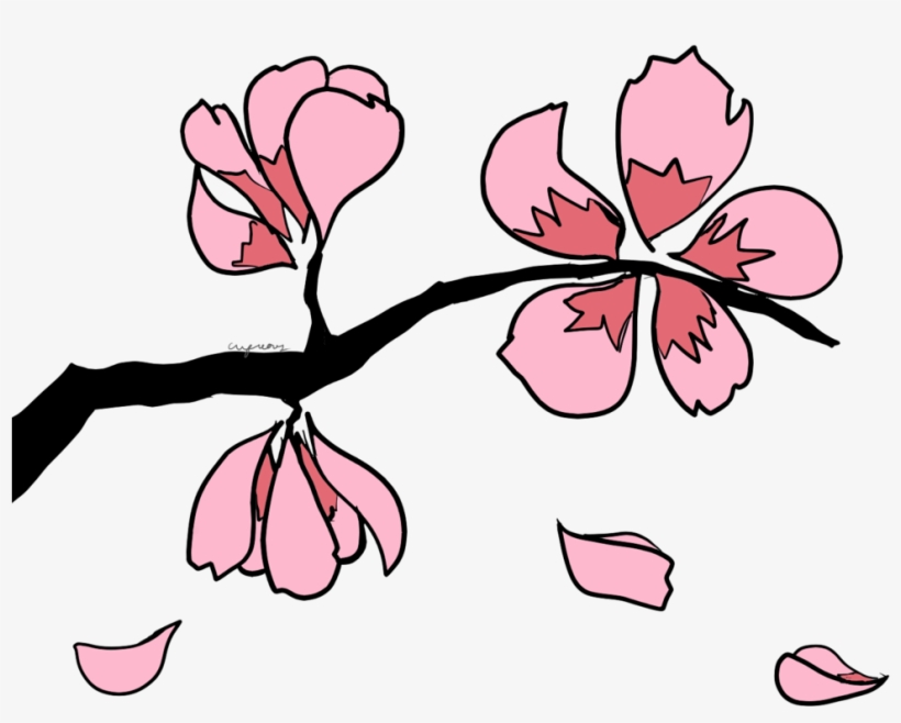 Sakura Clipart Transparent - Sakura Branch Clip Art Png, transparent png #675367