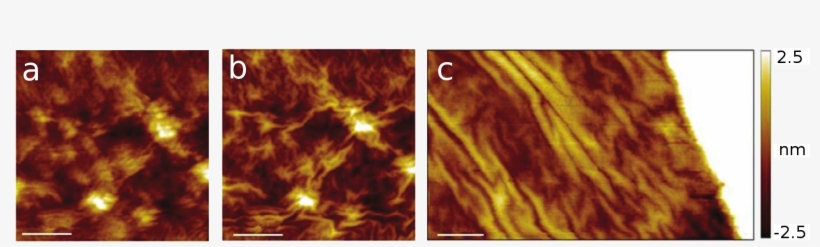 Rippling Of Graphene Induced By Stm Tip - Flame, transparent png #675457
