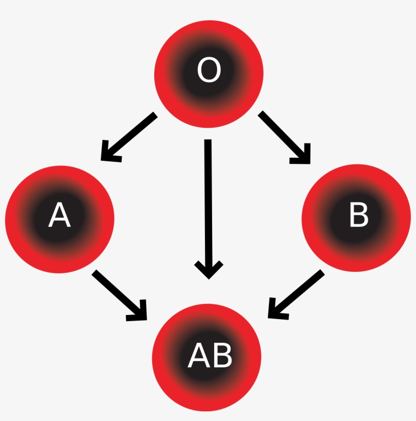 Wikipedia, The Free Encyclopedia - Four Blood Types, transparent png #675551