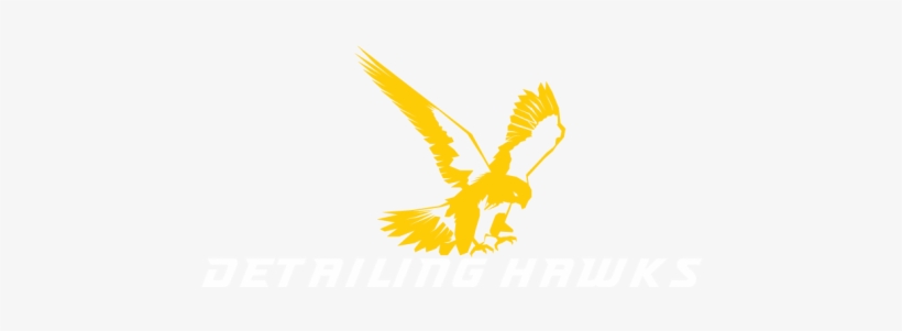 Golden Eagle, transparent png #675552