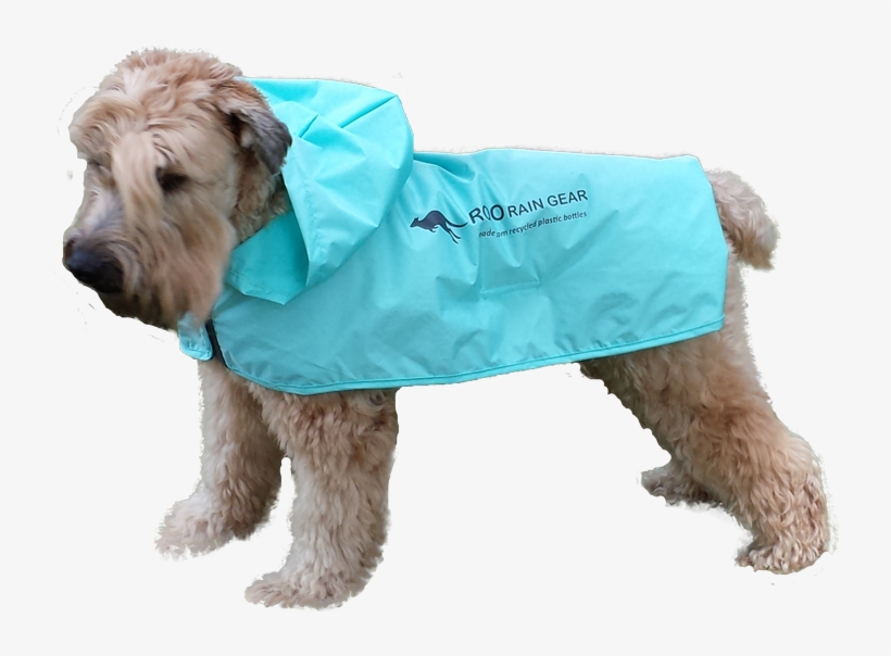 Rain Wear For Dogs - Lakeland Terrier, transparent png #675621