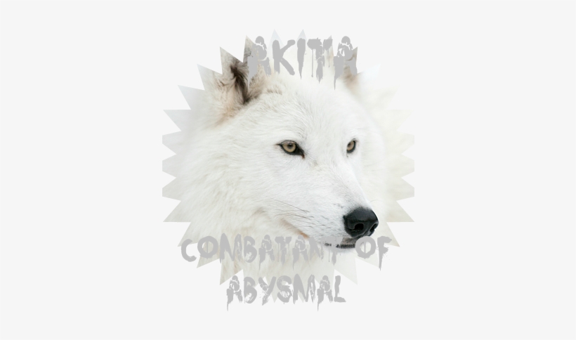 Funny White Wolf Face 1 - Fifth Grade First Day Of 5th Grade Printable, transparent png #675763