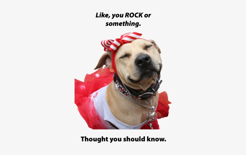 You-rock - You Rock Dog, transparent png #675907