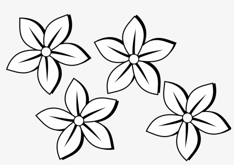 Drawing Tulips Black And White - Flower Black And White Png, transparent png #675975