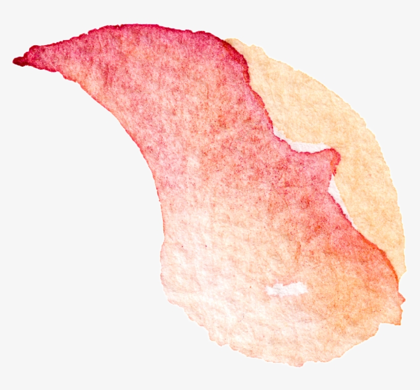 Watercolor Painting, transparent png #676756